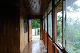 Buena Vista Land: Nature, Comfort, and Opportunity in One