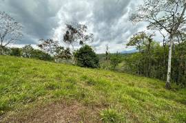 Buena Vista Land: Nature, Comfort, and Opportunity in One