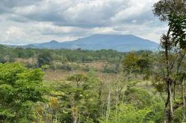 Buena Vista Land: Nature, Comfort, and Opportunity in One