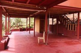 Buena Vista Land: Nature, Comfort, and Opportunity in One