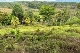 Buena Vista Land: Nature, Comfort, and Opportunity in One