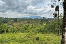 Buena Vista Land: Nature, Comfort, and Opportunity in One