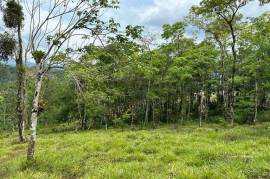 Buena Vista Land: Nature, Comfort, and Opportunity in One