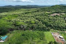 Lot #4 Rancho Pinilla: Mixed-Use Lot in San Jose de Pinilla - Playa Avellanas!