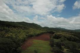 Lot #4 Rancho Pinilla: Mixed-Use Lot in San Jose de Pinilla - Playa Avellanas!