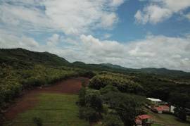Lot #4 Rancho Pinilla: Mixed-Use Lot in San Jose de Pinilla - Playa Avellanas!