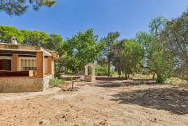 3 Bedrooms - Property - Murcia - For Sale - DiP0001