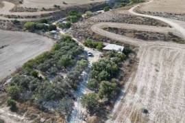 Two Agricultural Fields for Sale in Aradippou to Avdelero area, Larnaca