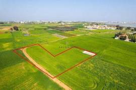 Large, Residential Land for sale in Sotira village, Famagusta.