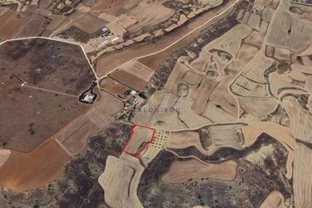 Agricultural land of 4348 sq.m for sale in Kapedes village, Nicosi District