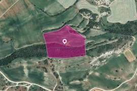 Agricultural Land for sale in Agios Theodoros, Larnaca.
