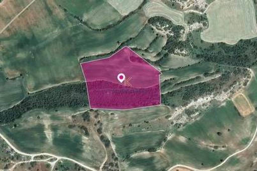 Agricultural Land for sale in Agios Theodoros, Larnaca.