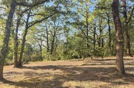 Rare !! Sur les coteaux de Grisolles, magnifique terrain arboré de 2000 m² avec vue imprenable .