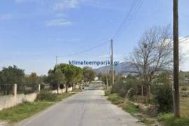 1853172 - Land plot For sale, Kalivia Thorikou, 7.761,15 sq.m., €500.000