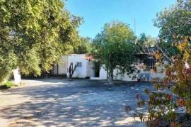 Habitable house with olive trees and mountain views 15km from the sea in Papagiannades, Sitia.