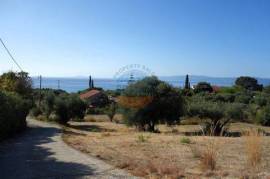 Investment Opportunity – 4 Private Villas with Pools & Panoramic Views | Ratzakli, Kefalonia