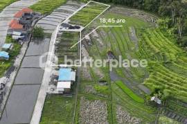 Prime Investment Opportunity, 18.45 Are Land in Pantai Lima