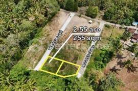 Affordable Bali Properties for Sale – Freehold Jungle-View Land Just Minutes to the Famous Balian Beach