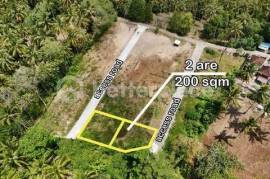 Freehold Jungle Sanctuary in Balian – 200 sqm Land Just Minutes from the Beach, Perfect for Your Dream Villa or Investment