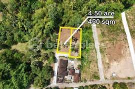 Your Gateway to Bali Luxury Real Estate – 450 sqm Freehold Land in Balian Surrounded by Jungle, Ideal for Residential or Investment Use