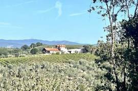 In posizione collinare e panoramica azienda agricola di ha.36