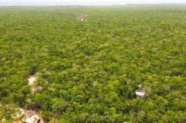 Land - Quintana Roo - For Sale - PLA7241749