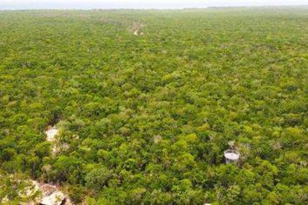 Land - Quintana Roo - For Sale - PLA7241749
