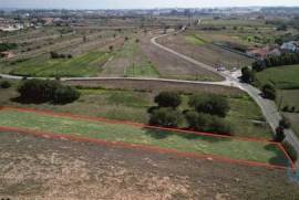 Terreno Agrícola em Cacia