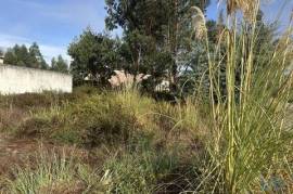 Terreno em Requeixo, Nossa Senhora de Fátima e Nariz de 310,00 m²