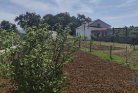 Casa / Villa T3 em Chão de Couce de 86,00 m²