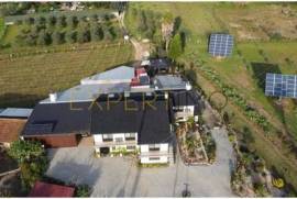 Farm with 4 bedroom villa, annexes, leisure area, vineyards on 19,000m2 of land in Bairrada