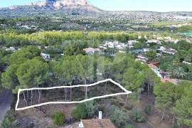 Land - For Sale