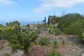 3 Bedroom Finca For Sale In Guia De Isora LP33172