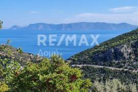 Agricultural 8100 sq.m for sale