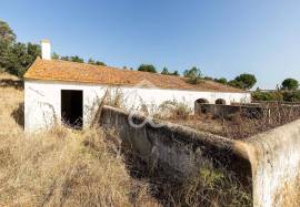 Farm Mora