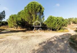 Farm Mora