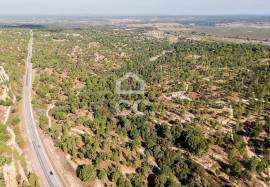 Farm Mora