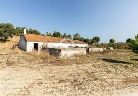 Farm Mora