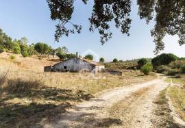 Farm Mora