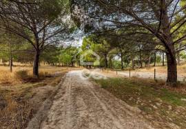 Farm Mora