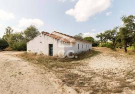 Farm Mora