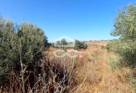 Land Beja BERINGEL
