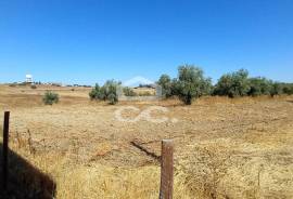 Land Beja BERINGEL