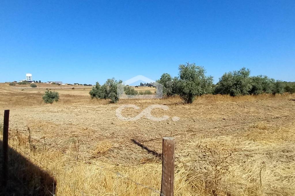 Land Beja BERINGEL