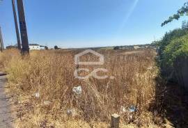 Land Beja BERINGEL