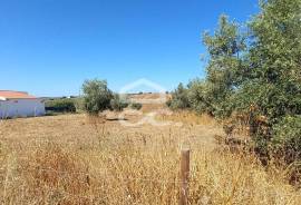 Land Beja BERINGEL