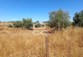 Land Beja BERINGEL