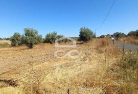 Land Beja BERINGEL