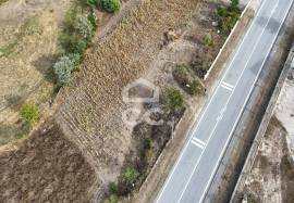 Plot near the Dam