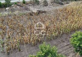 Plot near the Dam